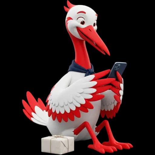 Борко намира всичко нужно на едно място. ✅